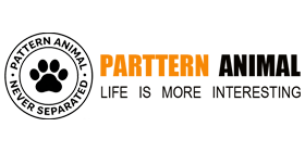 PATTERN ANIMAL